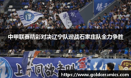 中甲联赛精彩对决辽宁队迎战石家庄队全力争胜