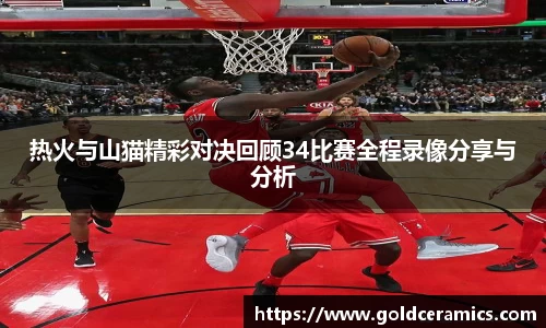 热火与山猫精彩对决回顾34比赛全程录像分享与分析
