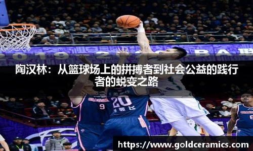 陶汉林：从篮球场上的拼搏者到社会公益的践行者的蜕变之路